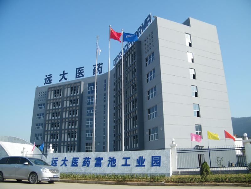 湖北遠大富馳醫藥化工精益管理規劃