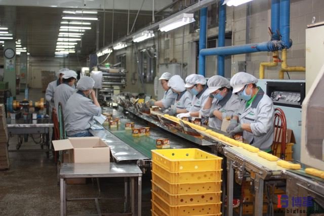 LCIA簡易自動化 LCIA簡易自動化